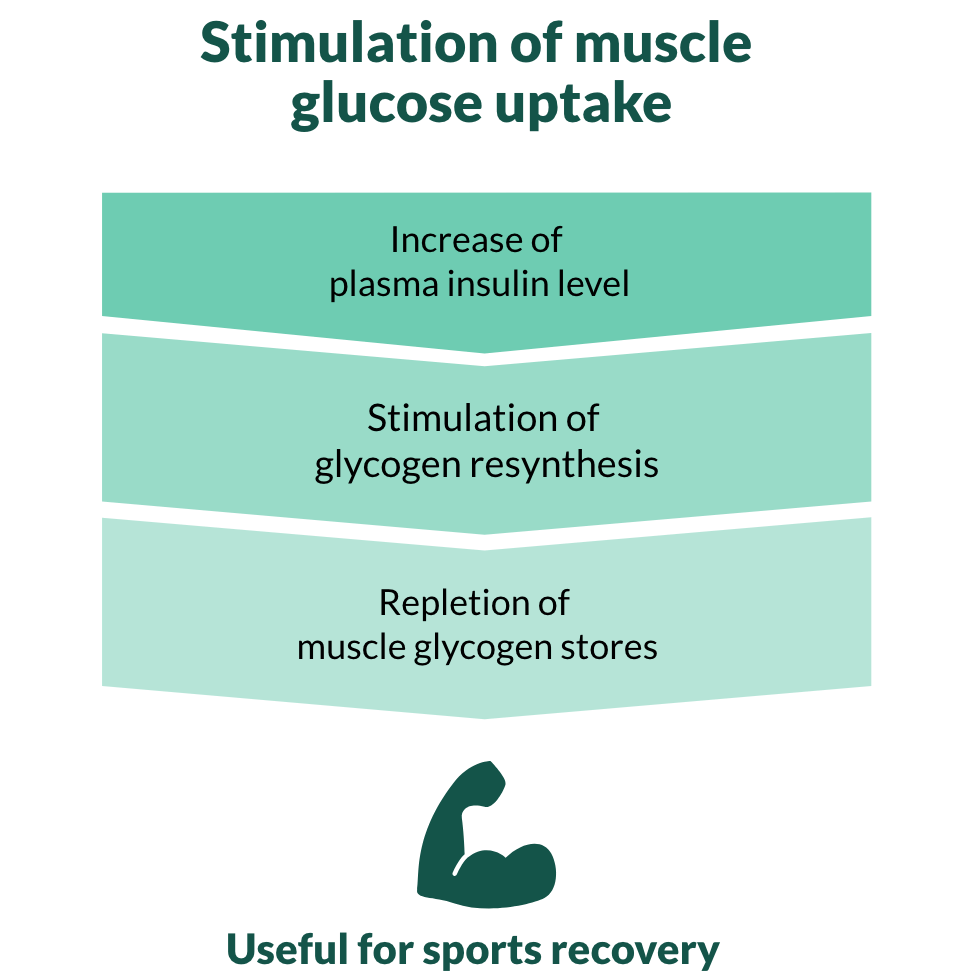 Stimulation-of-muscle-glucose-uptake